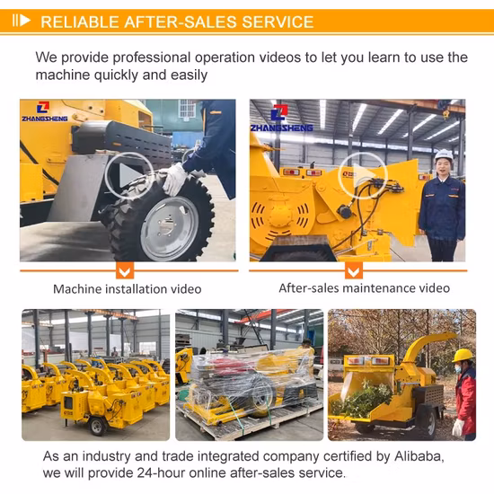 Hot Sale Drum Tree Branch Chipper 10 pouces Wood Chipper à vendre