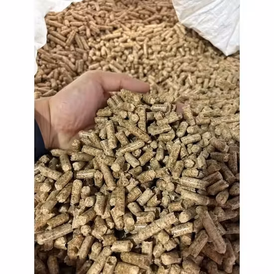 Biocarburant Énergie Riz Husk Sciure Poudre De Bambou Branches D'arbres Granulateur Presse À Briquettes Machine / Anneau Plat Die 1 t / H 2 t Agriculture Biomasse Machine À Granulés De Bois